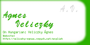 agnes veliczky business card